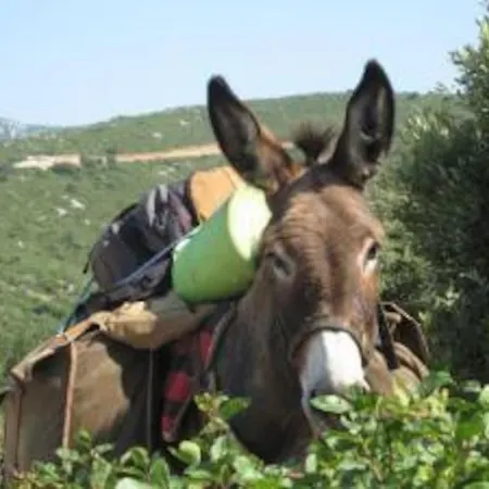 Ranc Des Avelacs