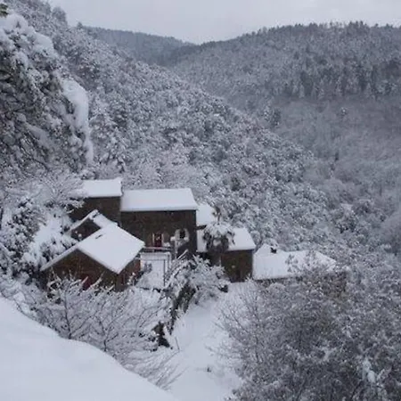 Ranc Des Avelacs * Saint-Etienne-Vallee-Francaise